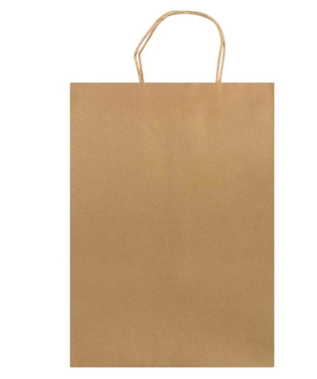 Aro Grocery Bag  (Brown)