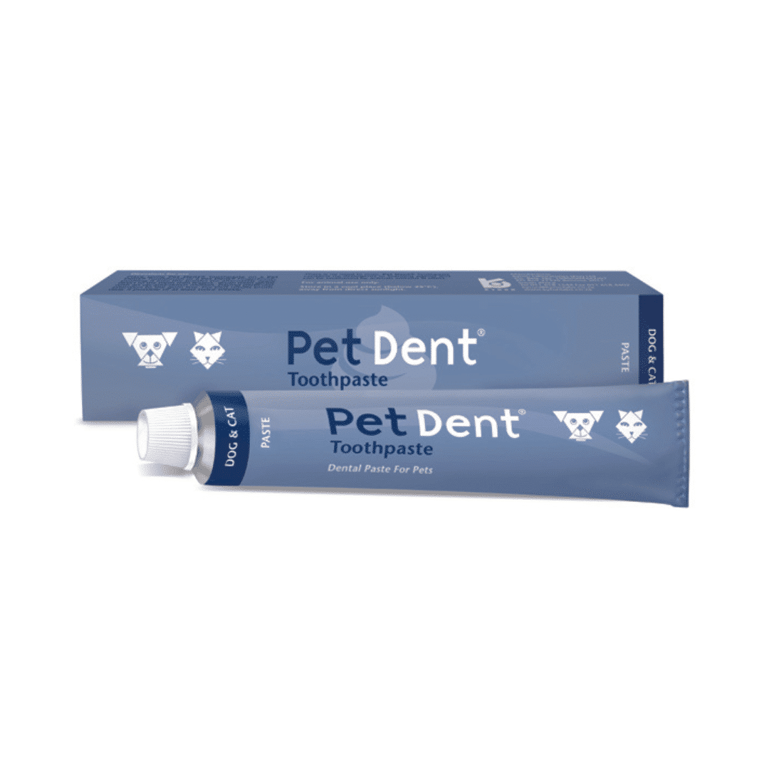 Pet Dent Malt-flavored Toothpaste for Dogs and Cats (60g)