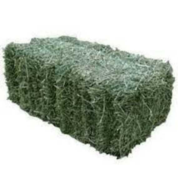 Richters Lucerne Bale Square Gr 1 P/bale