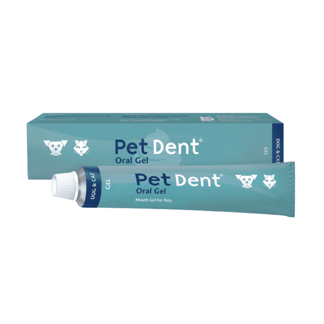 Pet Dent Oral Gel with Zinc and Chlorhexidine for Dogs and Cats (60g)