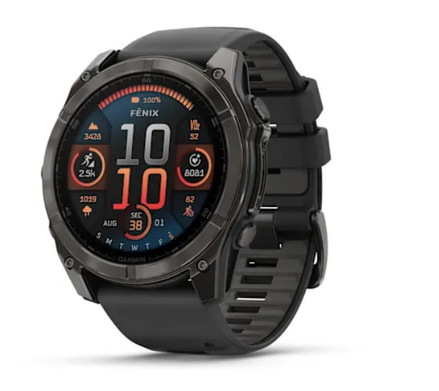Garmin Fenix 8 Amoled Smartwatch  (Black Strap, L)