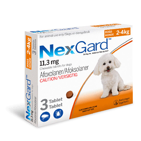 Nexgard for Dogs