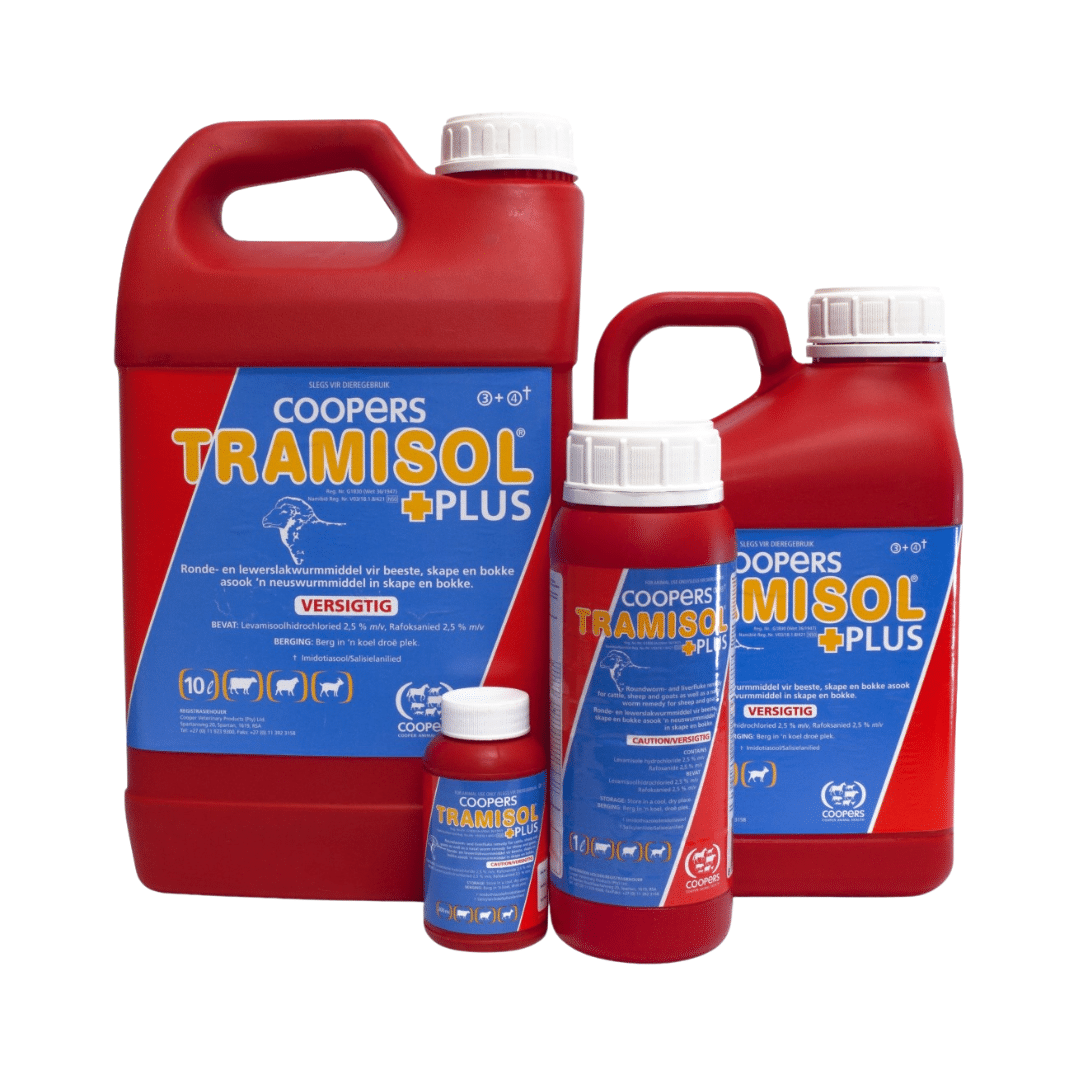 TRAMISOL PLUS