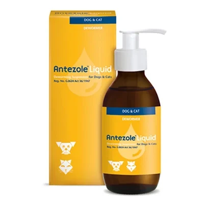 Antezole Liquid 100 ML