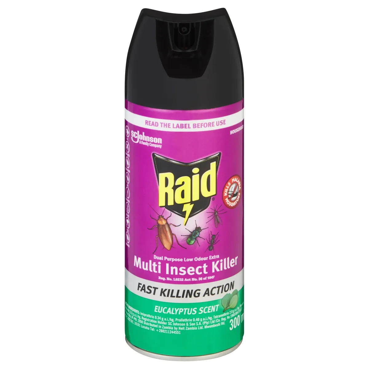 Raid 300ml Multi-insect Killer Eucalyptus