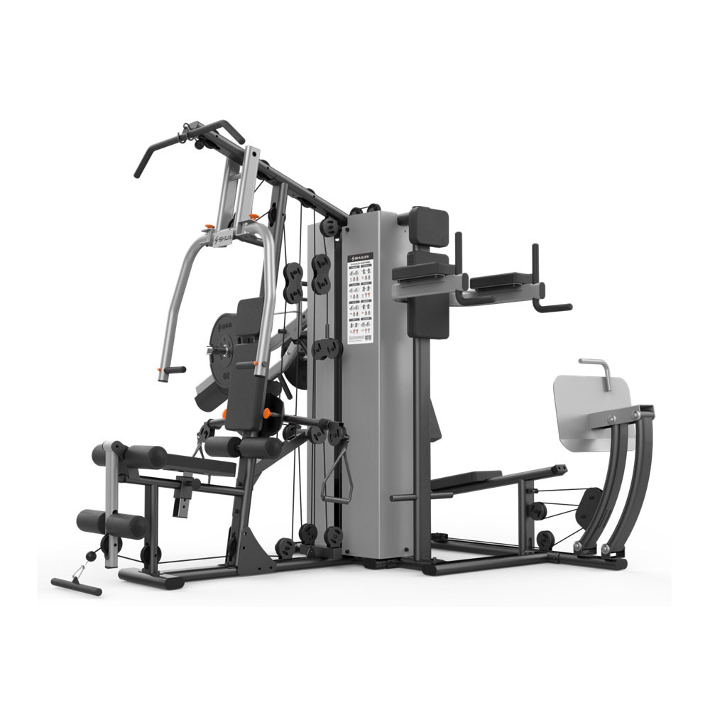 Shua 4 Station Multi-Gym